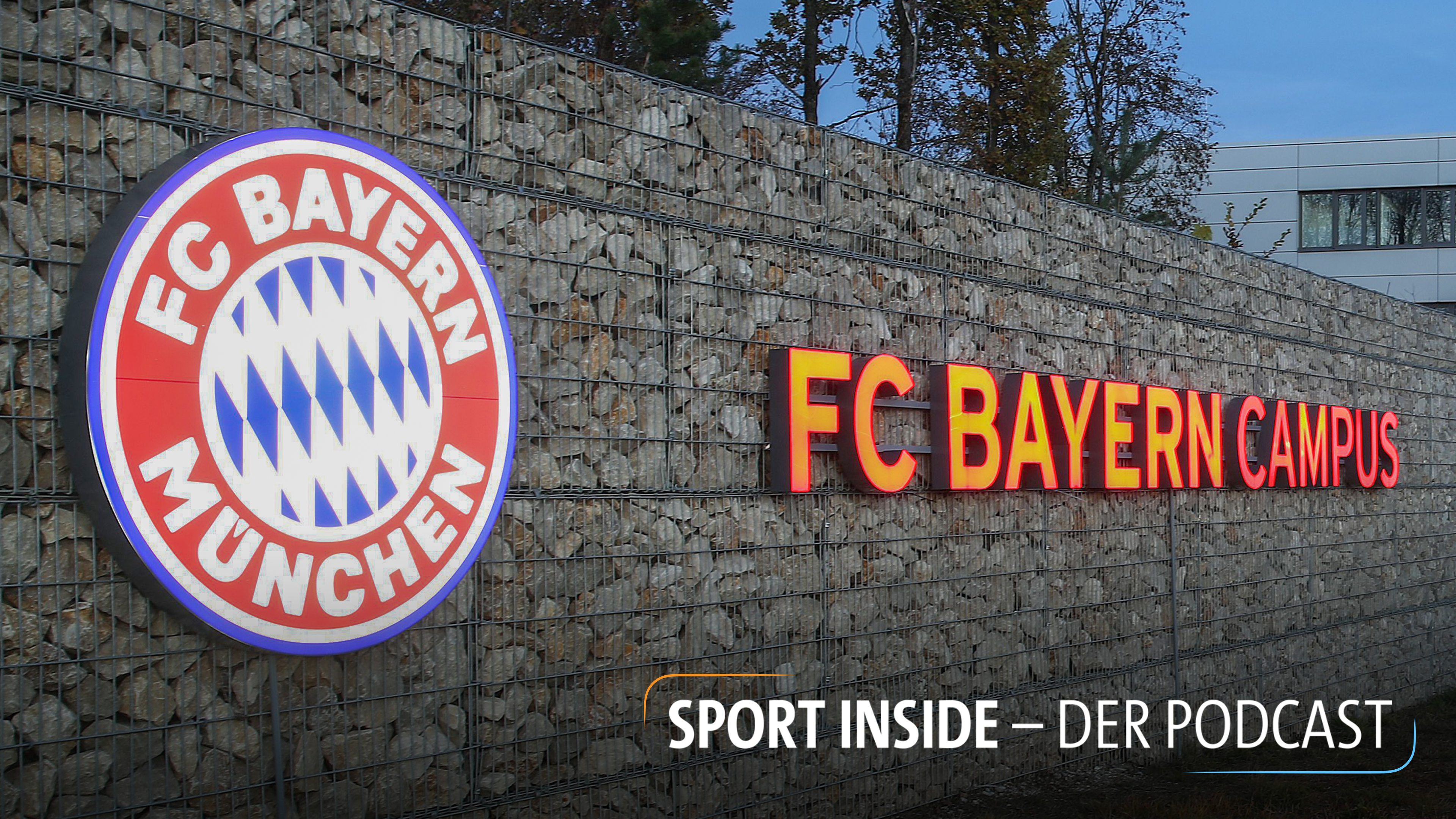 Rassismus Am Fc Bayern Campus Dfb Befragt Zeugen Bundesliga Fussball Sportschau De