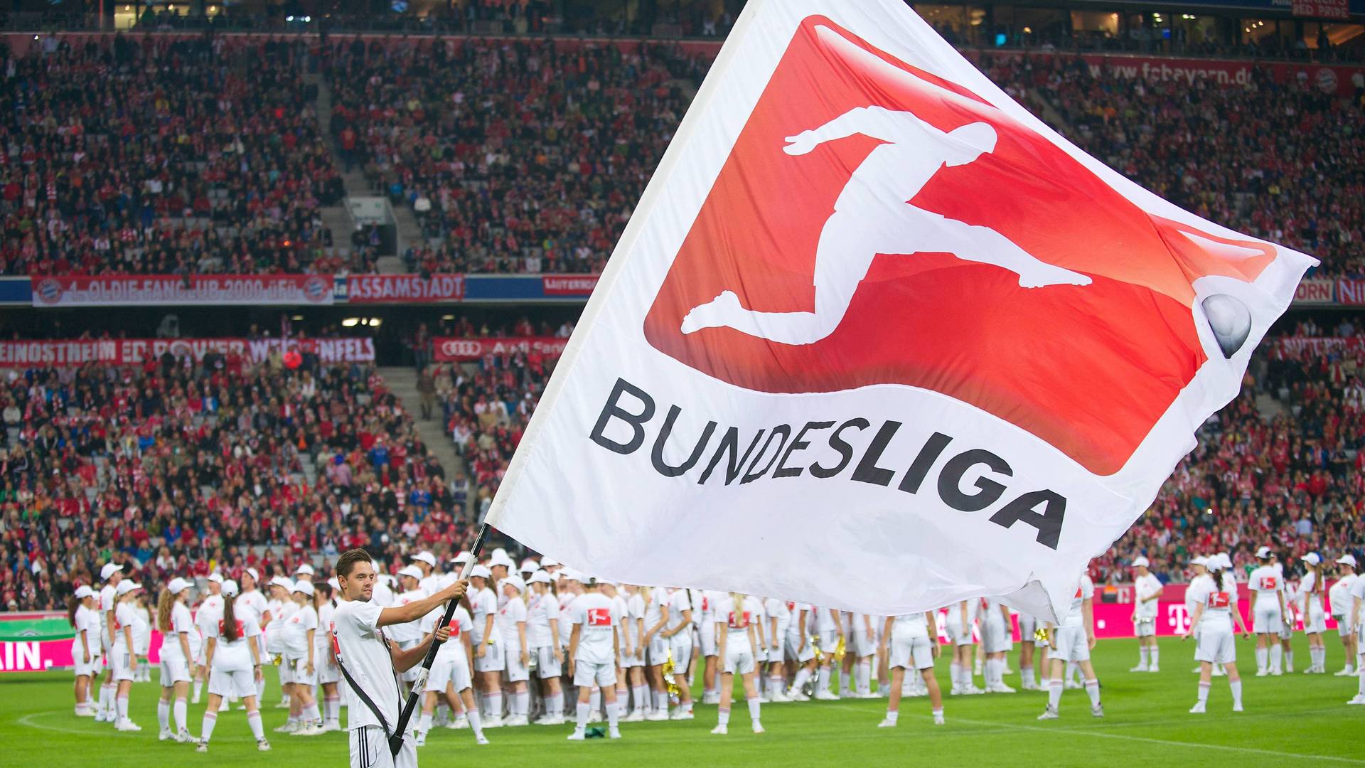 Bundesliga, Fahne, Flagge